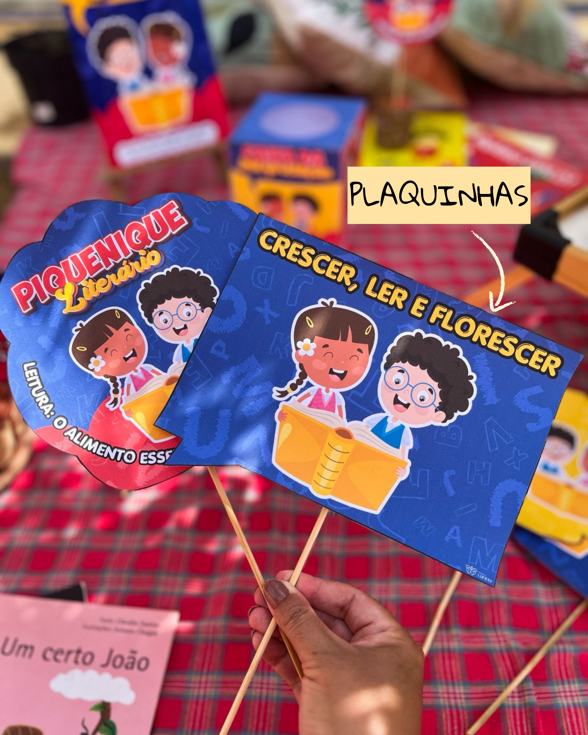 Piquenique Literário 📖🧺 - Imagem 6